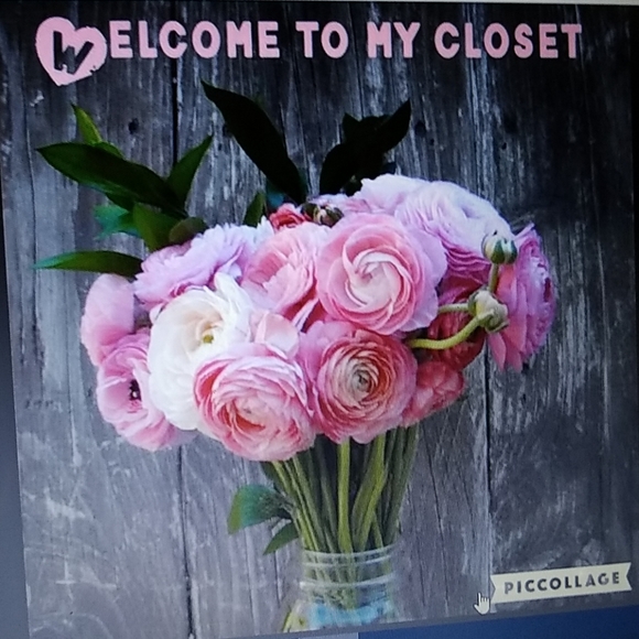 Gebo's Posh Ambassador's Closet! - Picture 2 of 2